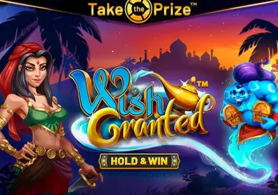 Wish Granted screenshot